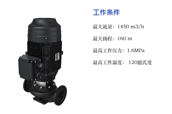 auto_1397.jpg