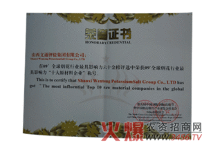 文通集團榮膺全球煙花行業影響力十大原料企業殊榮