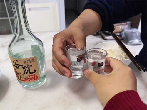 冬來天欲雪，能飲一杯無——谷小酒谷院燒酒無酒精即飲型測評